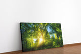 shutterstock_172833967385eb3VHYeSsUF_1280x1280.jpg