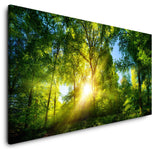shutterstock_1728339673UaNmFTlElUOp9_1280x1280.jpg