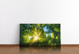 shutterstock_1728339673oBRn7AM19B4Yt_1280x1280.jpg