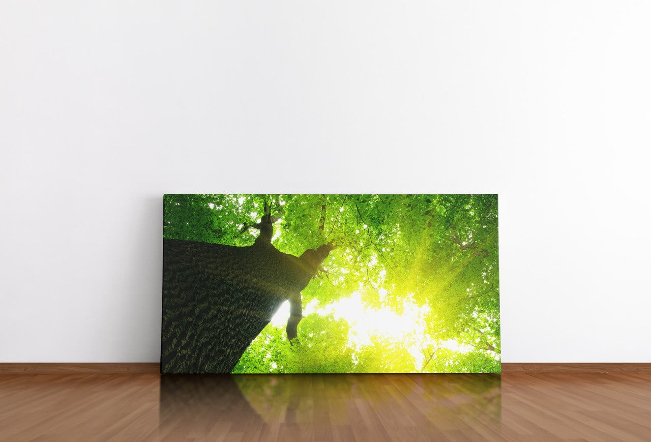 shutterstock_173301305K2MSv8zcg5RRE_1280x1280.jpg