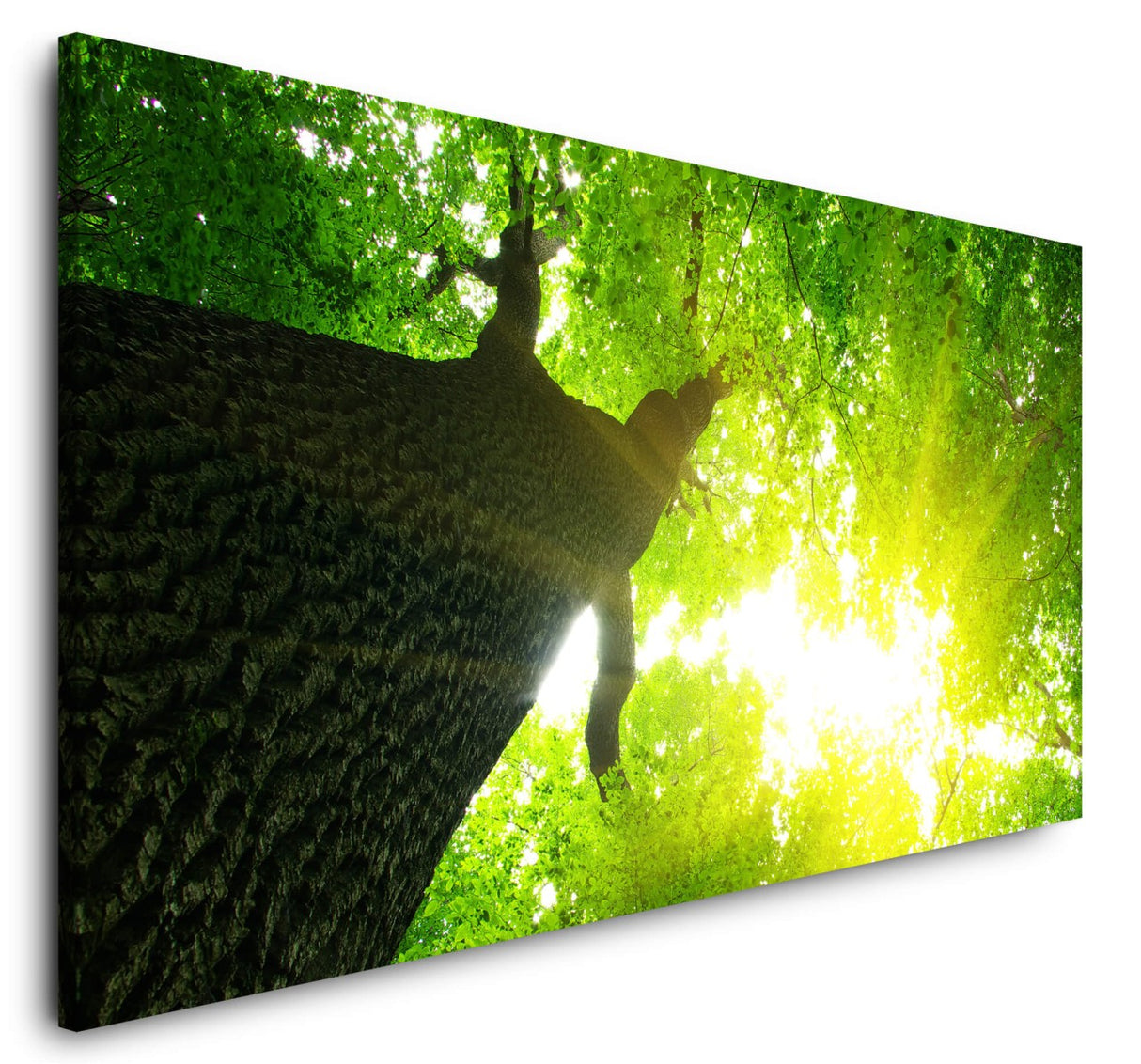shutterstock_173301305bfk7tGZ1QP9Ru_1280x1280.jpg