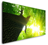 shutterstock_173301305bfk7tGZ1QP9Ru_1280x1280.jpg