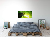 shutterstock_173301305ty8pCfi218hJX_1280x1280.jpg
