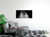 shutterstock_1738727333KSOAYWk2p1Rrj_1280x1280.jpg