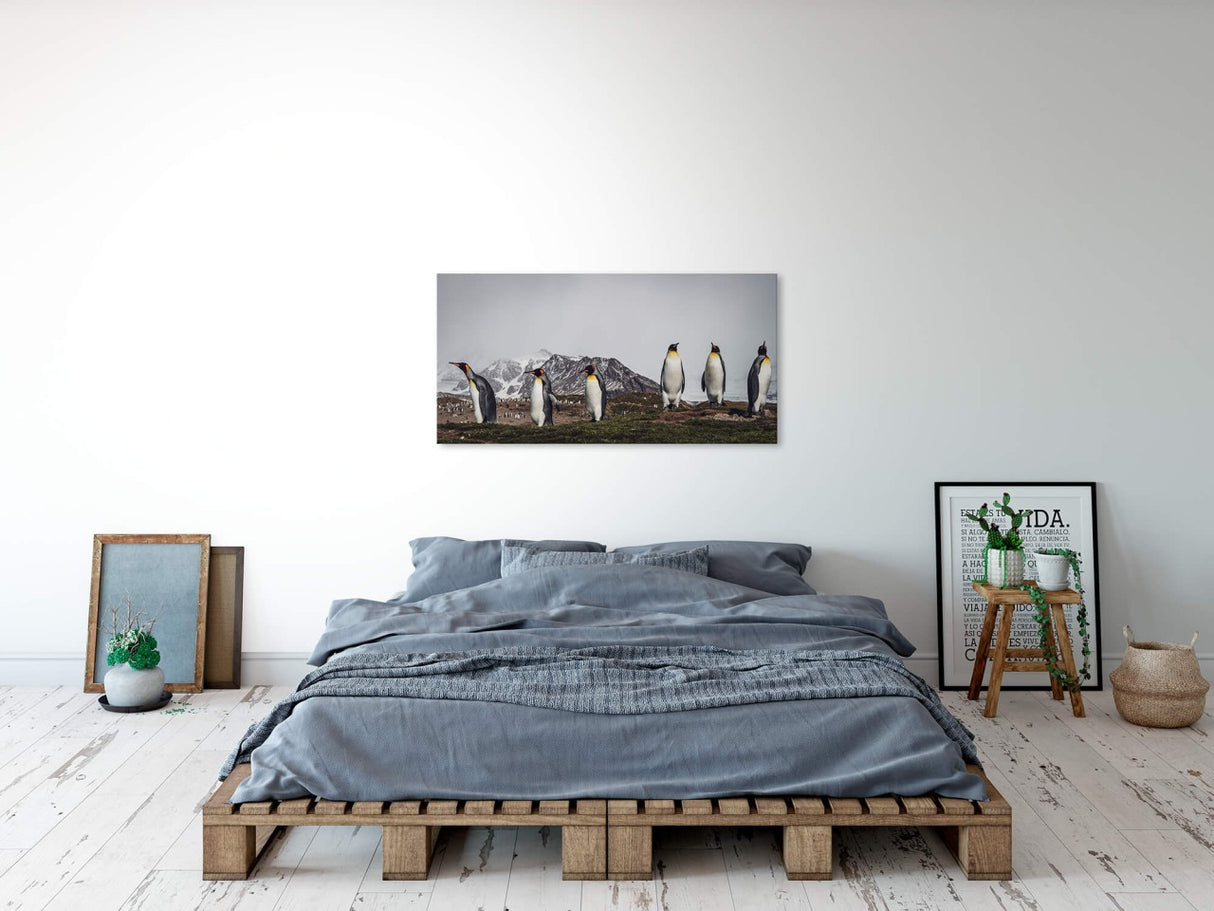 shutterstock_1741383650G8jZYdw8ilkAa_1280x1280.jpg