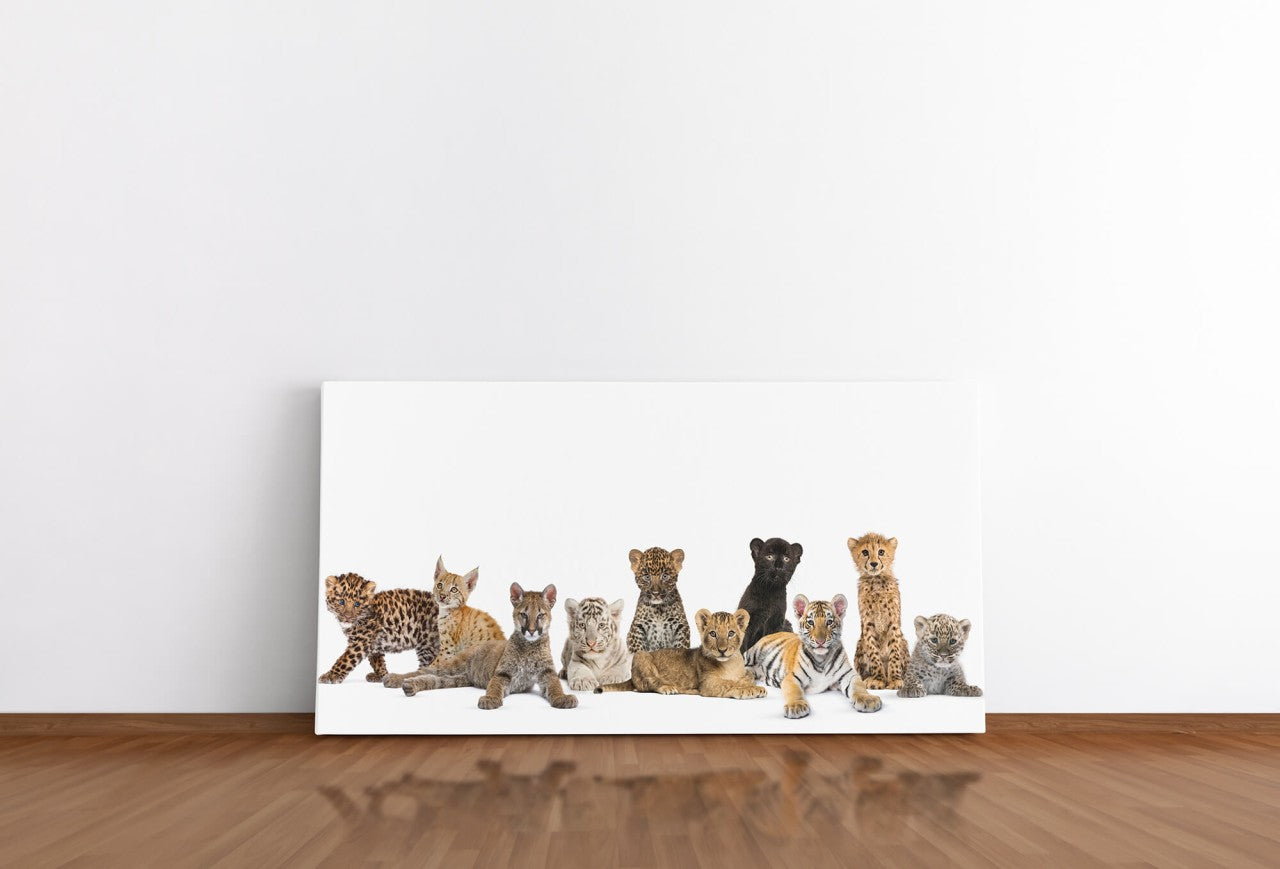 shutterstock_17628371604qHPZHRcoDCpA_1280x1280.jpg