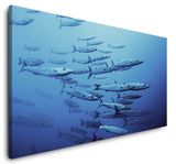 shutterstock_1768747430TMEc29CNMYDpw_1280x1280.jpg