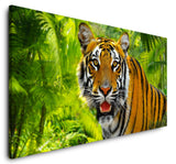 shutterstock_1784390399IA4C5b9wAmmRe_1280x1280.jpg