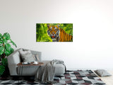 shutterstock_1784390399zqfkqjcP9mzd1_1280x1280.jpg