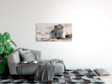 shutterstock_1787197811rNhAAxOTWjcmQ_1280x1280.jpg
