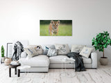 shutterstock_1792995682ACH6fFRreTOPI_1280x1280.jpg