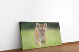 shutterstock_1792995682IZt43q9vDaWuH_1280x1280.jpg