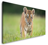 shutterstock_1792995682llci8T5SYZO0U_1280x1280.jpg