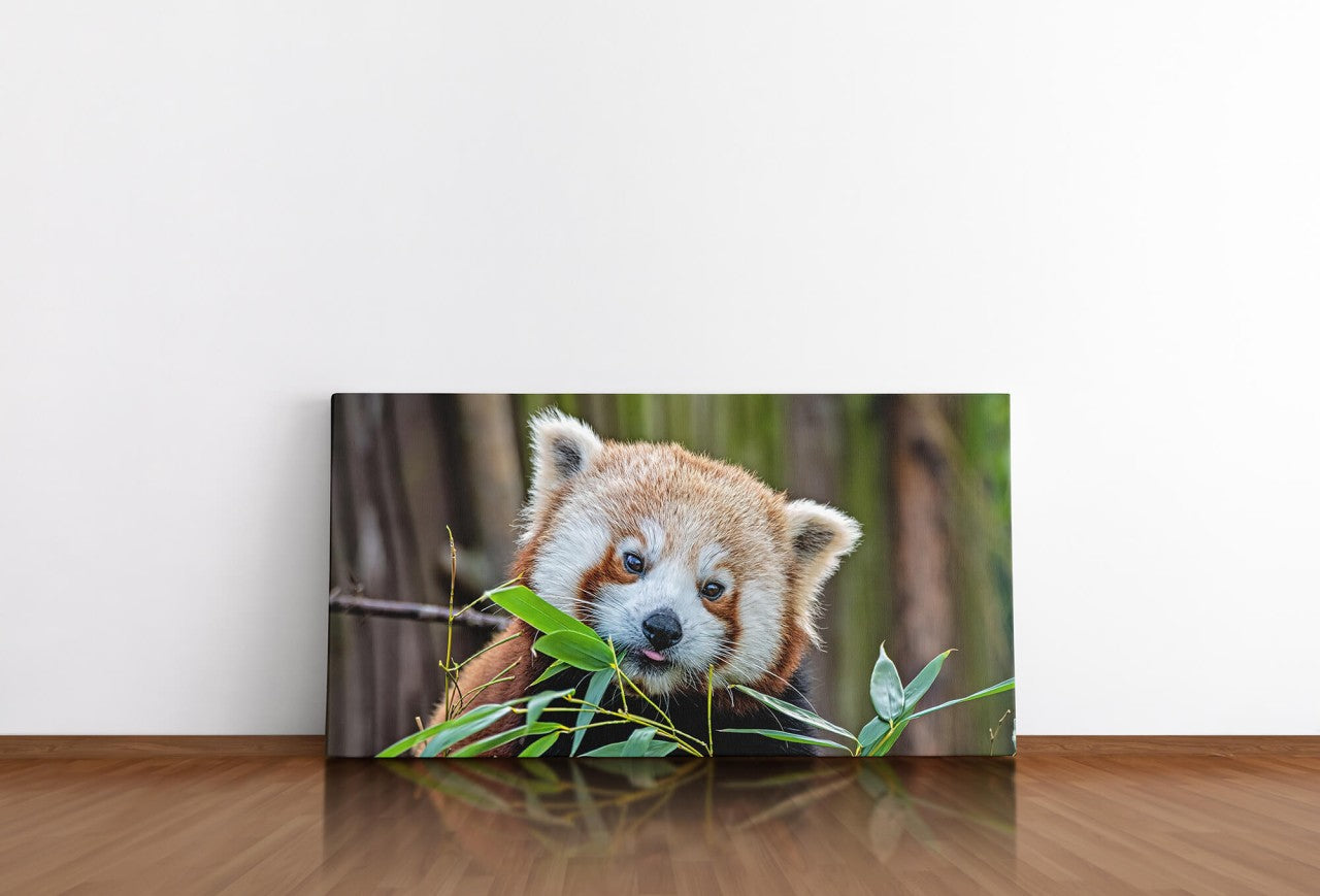 shutterstock_17947438211Xh6NZZ3qVPSD_1280x1280.jpg