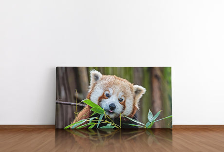 shutterstock_17947438211Xh6NZZ3qVPSD_1280x1280.jpg
