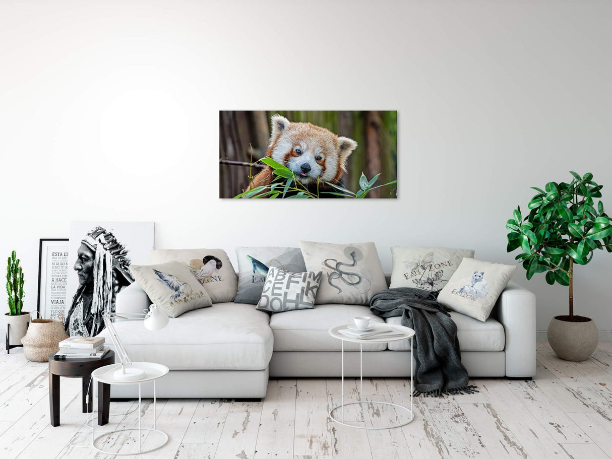 shutterstock_1794743821CjDbQ21FDFmwa_1280x1280.jpg