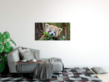 shutterstock_1794743821QsZnSNOYtWGHH_1280x1280.jpg