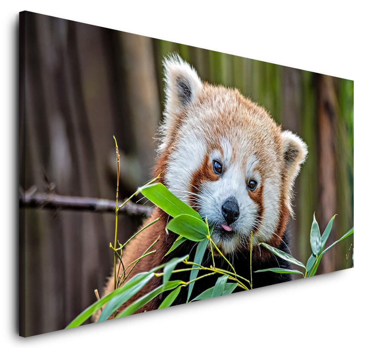 shutterstock_1794743821bXXN1JosKetB0_1280x1280.jpg