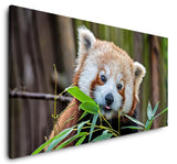 shutterstock_1794743821bXXN1JosKetB0_1280x1280.jpg