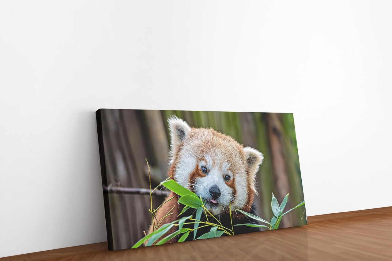 shutterstock_1794743821cYLvaiF1AteV2_1280x1280.jpg