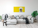 shutterstock_1799966587FwUpqQQnWyMGL_1280x1280.jpg