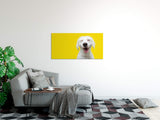 shutterstock_1799966587GGFY80h8ehdV2_1280x1280.jpg
