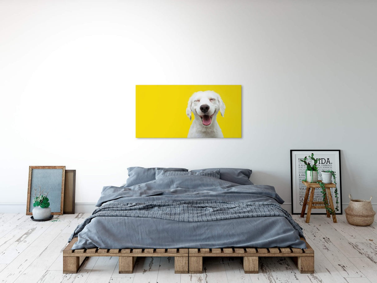 shutterstock_1799966587LhfrchfeOjaYV_1280x1280.jpg