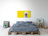 shutterstock_1799966587oWAlkvEIxCQKm_1280x1280.jpg