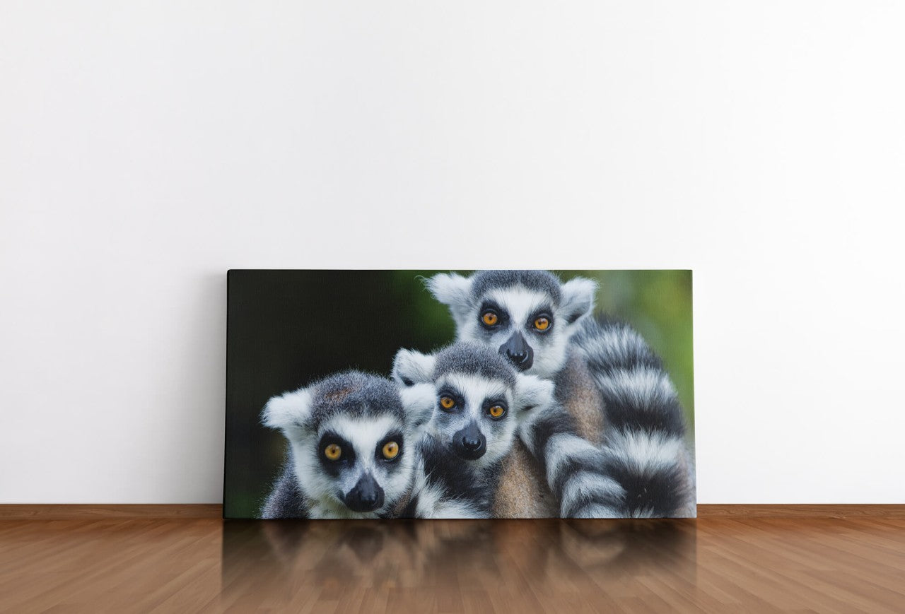 shutterstock_1800356512NaQfQTdUKFpj_1280x1280.jpg
