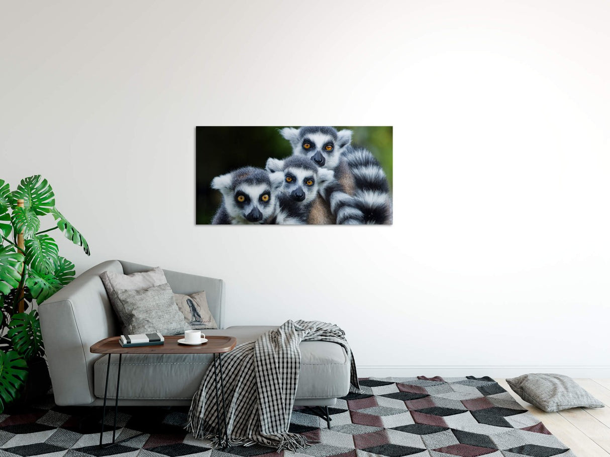 shutterstock_180035651MTBYtLinqteMk_1280x1280.jpg