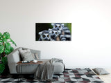 shutterstock_180035651MTBYtLinqteMk_1280x1280.jpg