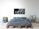 shutterstock_180035651REWdHRbBW6vCW_1280x1280.jpg