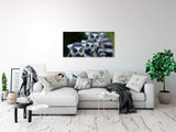 shutterstock_180035651cXyd5RBK4lKWb_1280x1280.jpg
