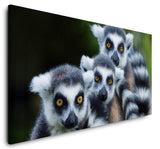 shutterstock_180035651hUtxoEl4ZV3x5_1280x1280.jpg