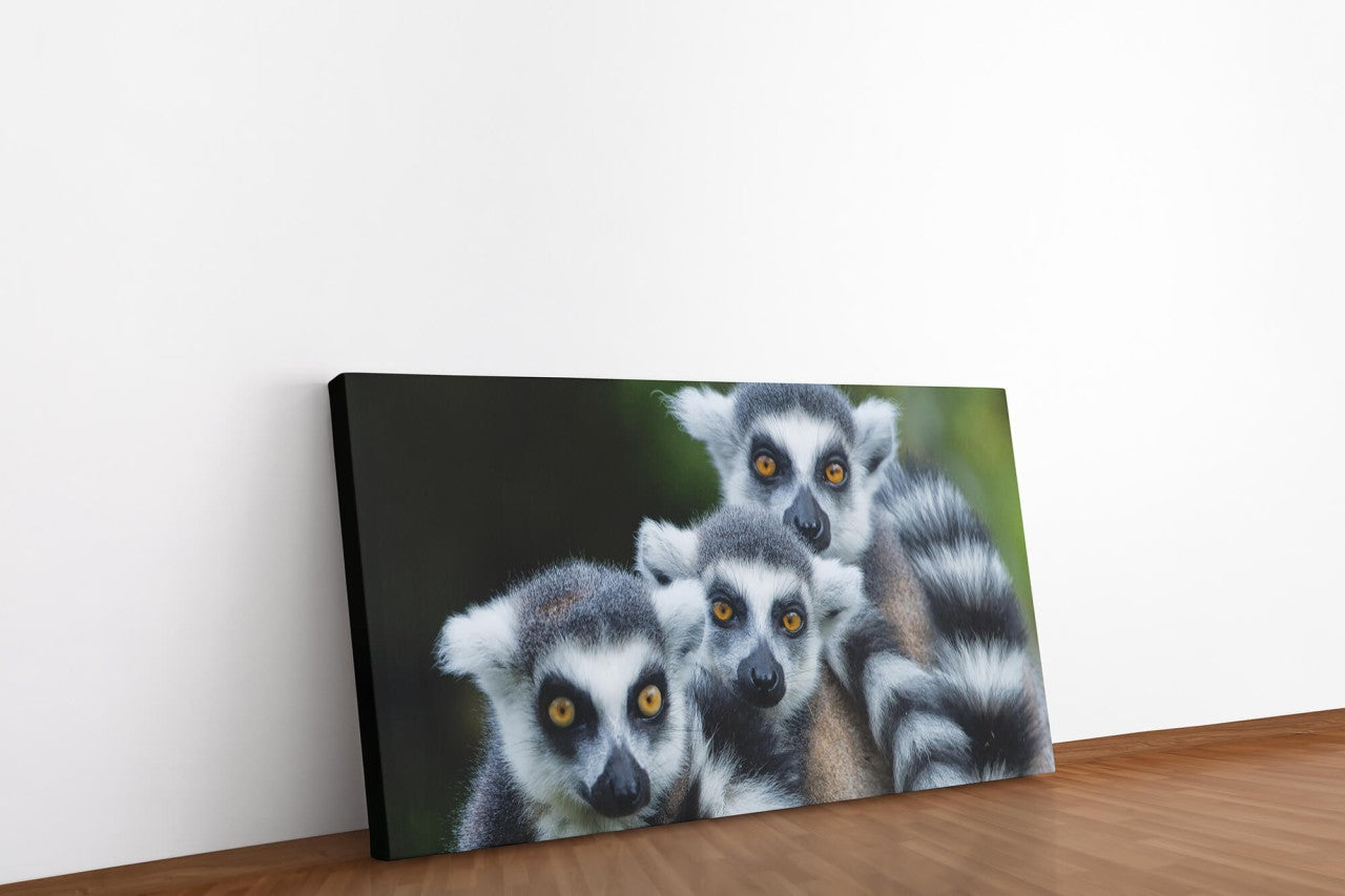 shutterstock_180035651iQoypQsPugm6l_1280x1280.jpg