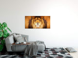 shutterstock_1806057199SsE0m9STctlVL_1280x1280.jpg