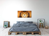 shutterstock_1806057199f7OdijhPgPxNZ_1280x1280.jpg