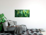 shutterstock_18075292482gC6RRpNffM8M_1280x1280.jpg