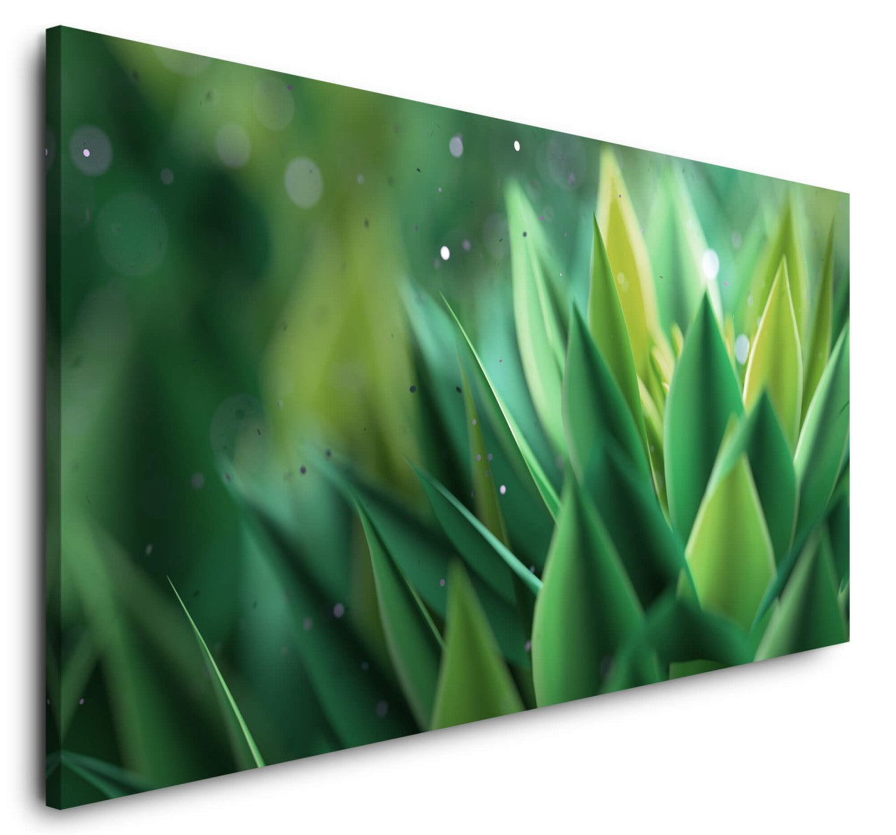 shutterstock_1807529248fH8IO2HYn7o7p_1280x1280.jpg