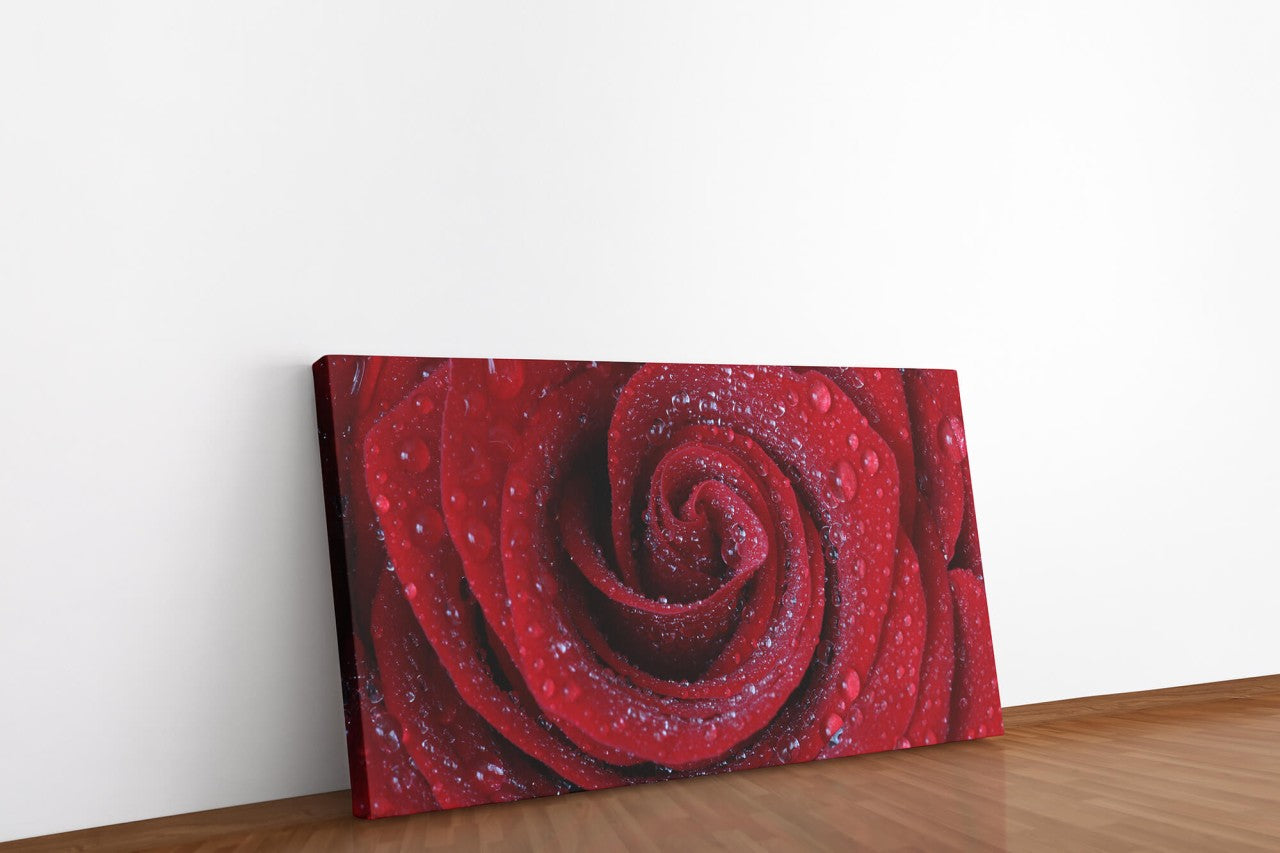shutterstock_1823393888anhqe1ZOBrxVO_1280x1280.jpg
