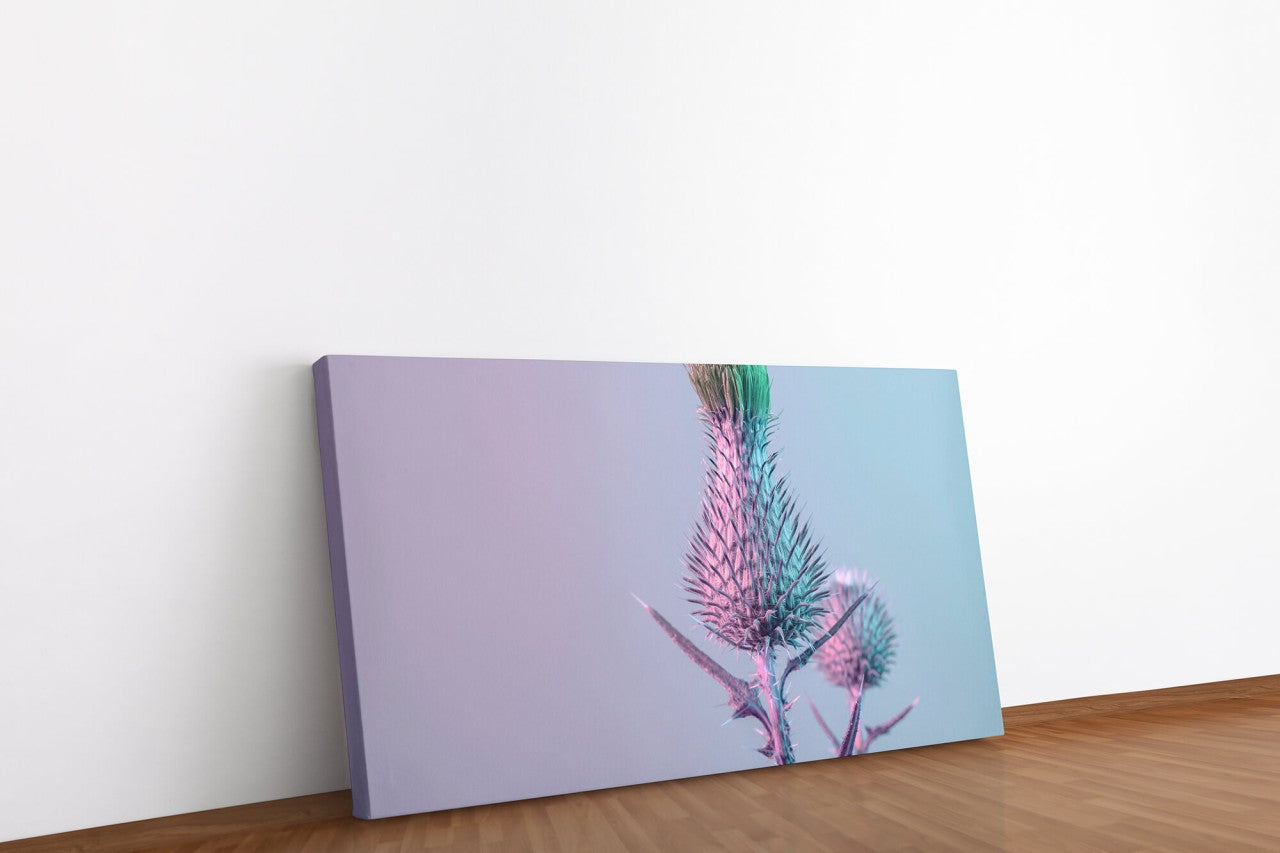 shutterstock_18366443864k8ElNfXGHwsE_1280x1280.jpg
