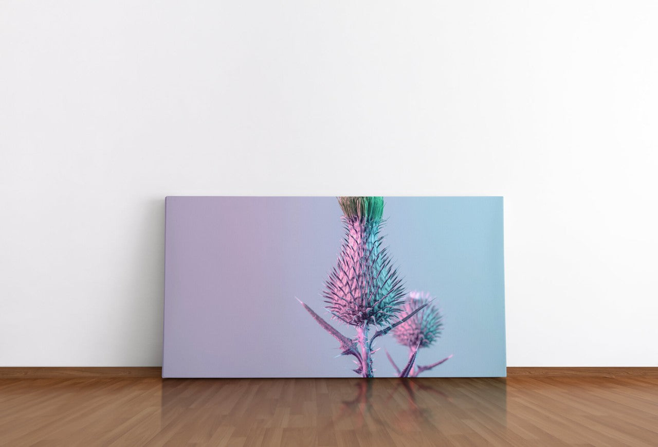 shutterstock_18366443868CEREBGtXOdBY_1280x1280.jpg