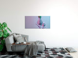 shutterstock_1836644386pttCVXPBmlm98_1280x1280.jpg