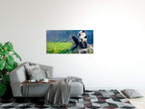 shutterstock_1839520114DU3mBaeNVjzc4_1280x1280.jpg