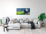 shutterstock_1839520114WQIBybyPkMuRT_1280x1280.jpg
