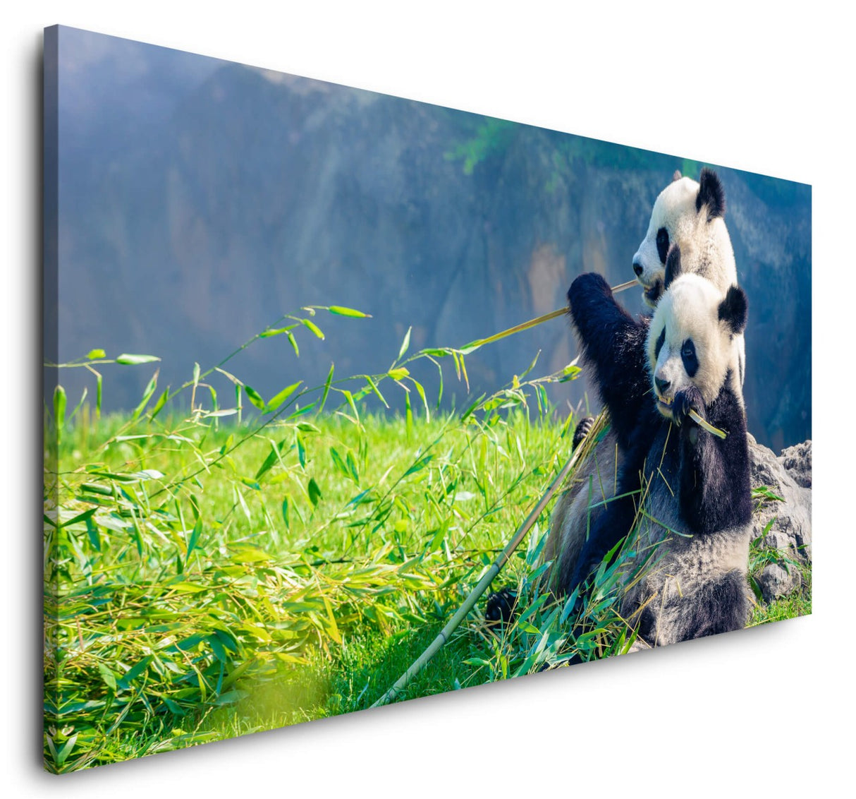 shutterstock_1839520114hHJQSKwo2qmUO_1280x1280.jpg