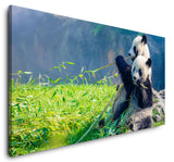 shutterstock_1839520114hHJQSKwo2qmUO_1280x1280.jpg