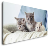 shutterstock_1864665679CTUuh4HdaR26Q_1280x1280.jpg