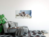 shutterstock_1864665679KoWRteod4as49_1280x1280.jpg