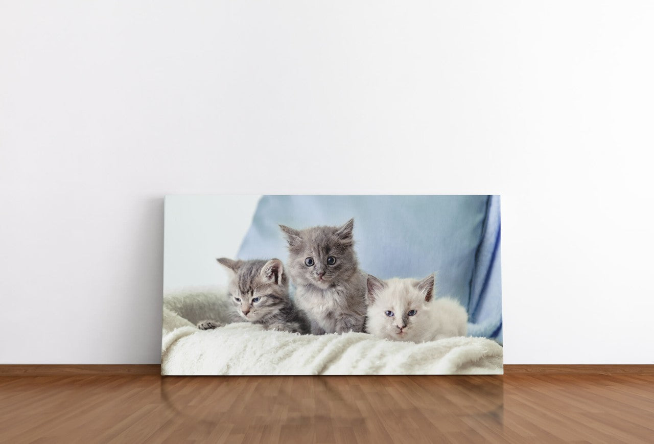 shutterstock_1864665679Wdrumd3bxJ3n3_1280x1280.jpg
